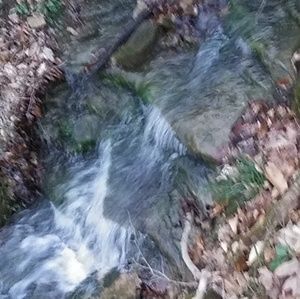 Meet your Posher, Starlyn